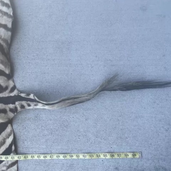 Fur ,Zebra skin - Picture 4 of 4
